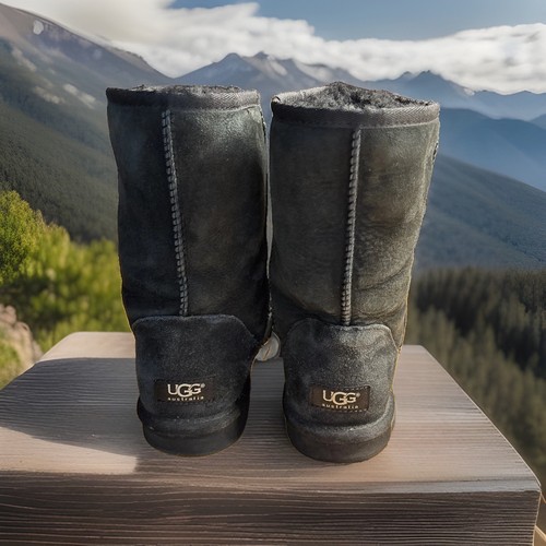 Ugg women suede boots - ugg,