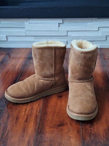 Ugg classic short boots - ugg, the